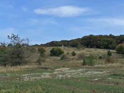 Прикрепленное изображение: DSCF5807.jpg